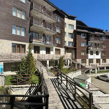 Forestside At Stream *